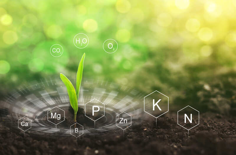 fertilizante organomineral com aminoácidos ADDITIVE em aplicação agrícola